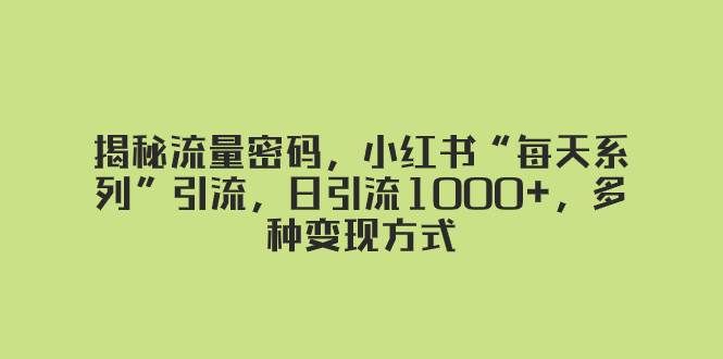 （8179期）揭秘流量密码，小红书“每天系列”引流，日引流1000+，多种变现方式-菡洋资源网