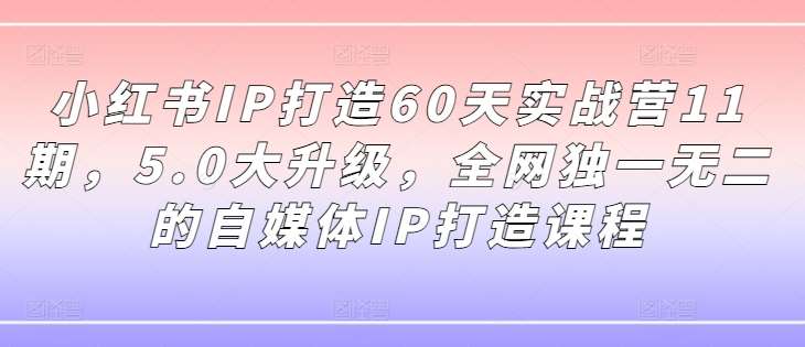 小红书IP打造60天实战营11期，5.0大升级，全网独一无二的自媒体IP打造课程-菡洋资源网