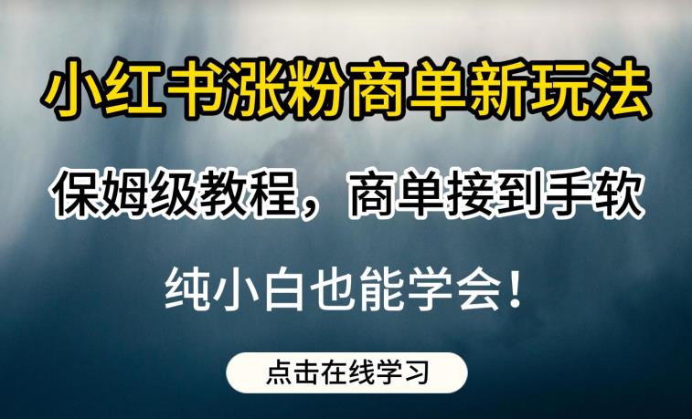 小红书涨粉商单新玩法，保姆级教程，商单接到手软，纯小白也能学会【揭秘】-菡洋资源网