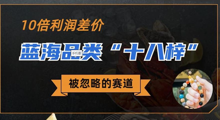 被忽略的蓝海品类“十八籽”，10倍的利润差价，同行一天几十单【揭秘】-菡洋资源网