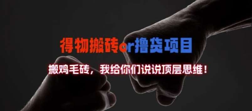 得物搬砖撸货项目?掰下数据，我给你们说说顶层思维【揭秘】-菡洋资源网