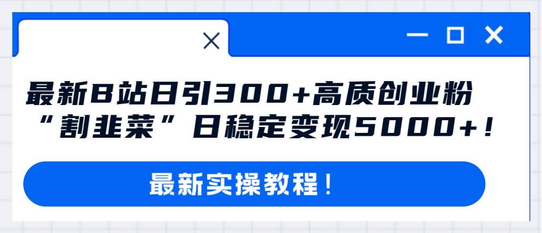 （8216期）最新B站日引300+高质创业粉教程！“割韭菜”日稳定变现5000+！-菡洋资源网