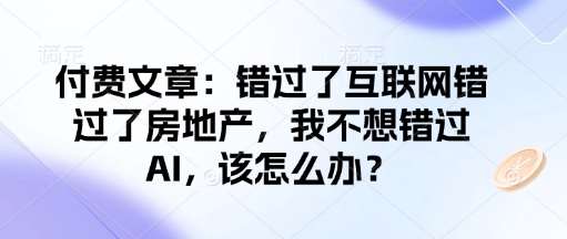 付费文章：错过了互联网错过了房地产，我不想错过AI，该怎么办？-菡洋资源网