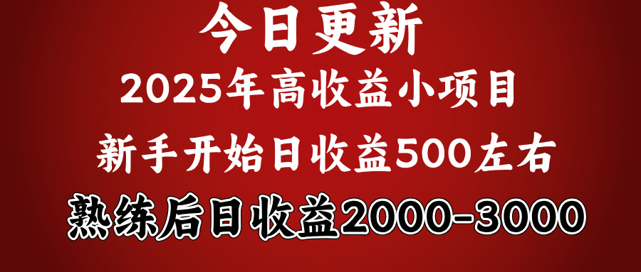 好项目一眼就能看出来，日收益1000，长久可做，2025拼的就是我比你勤奋-菡洋资源网
