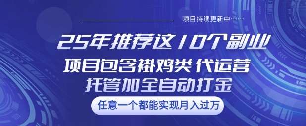 25年推荐这10个副业项目包含褂鸡类、代运营托管类、全自动打金类【揭秘】-菡洋资源网
