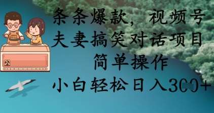 条条爆款，视频号夫妻搞笑对话项目，简单操作，小白轻松日入3张+-菡洋资源网