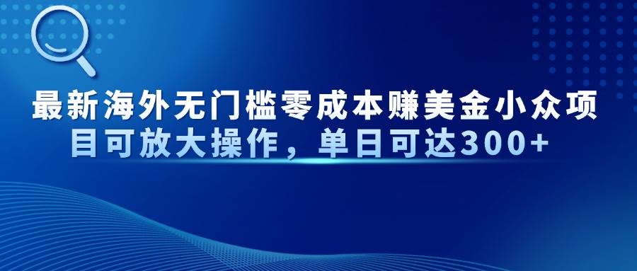 （14542期）最新海外无门槛零成本赚美金小众项目可放大操作，单日可达300+-菡洋资源网