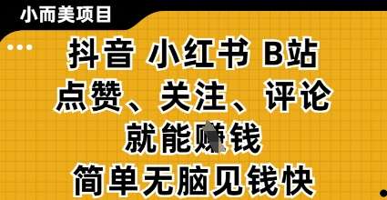 小而美的项目，抖音小红书B站视频点赞、关注、评论就能挣钱，简单无脑立见收益，妥妥的零撸项目【揭秘】-菡洋资源网