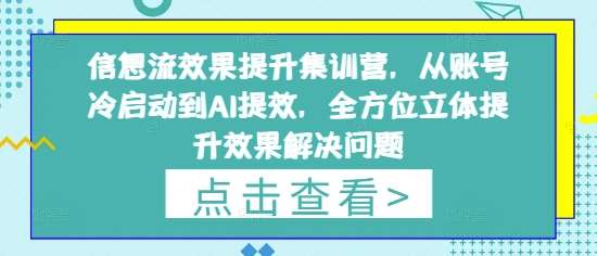 信息流效果提升集训营，从账号冷启动到AI提效，全方位立体提升效果解决问题-菡洋资源网