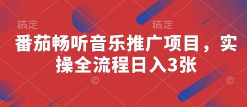 番茄畅听音乐推广项目，实操全流程日入3张-菡洋资源网