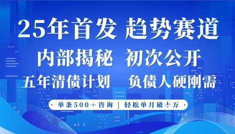 2025年首次公开，真正的事业型赛道，客咨不断，单月轻松破W-菡洋资源网