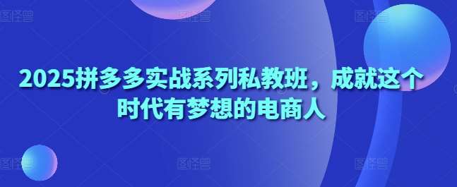 2025拼多多实战系列私教班，成就这个时代有梦想的电商人-菡洋资源网