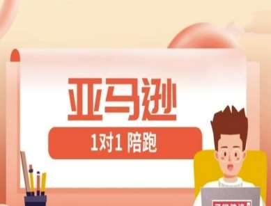 亚马逊1对1陪跑课(FBA/FBM精铺)跨境亚马逊教程-菡洋资源网