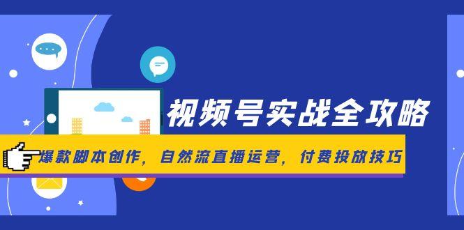 （14925期）视频号实战全攻略，爆款脚本创作，自然流直播运营，付费投放技巧-菡洋资源网