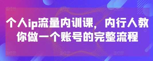 个人ip流量内训课，内行人教你做一个账号的完整流程-菡洋资源网