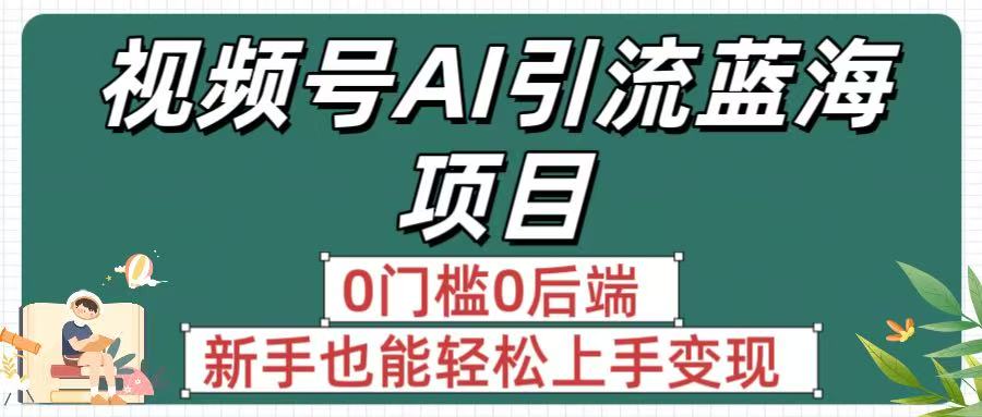 疯传！视频号AI引流蓝海项目，0门槛0后端，新手也能轻松上手变现-菡洋资源网