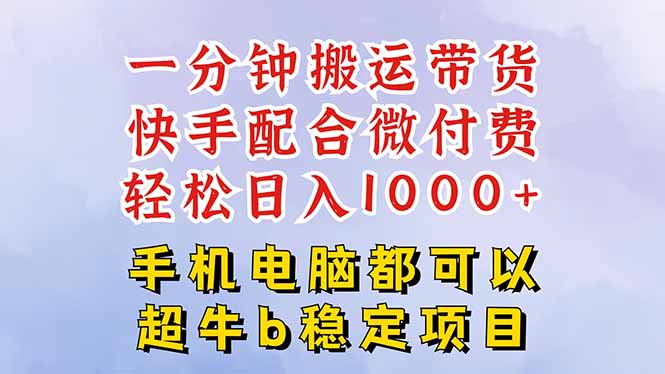 （16285期）快手黑科技一分钟搬运带货，一刀不剪过原创，微付费投流玩法，轻松日入...-菡洋资源网
