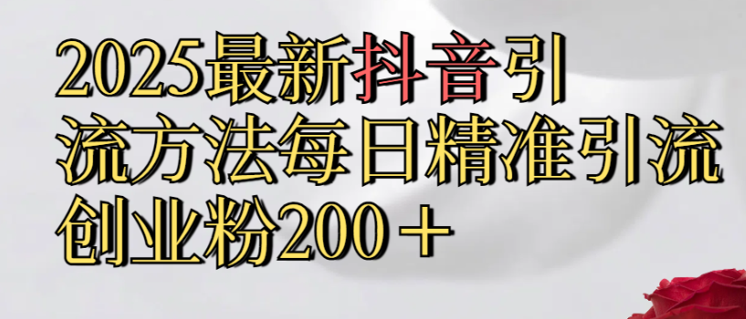 2025最新抖音引流,方法每日精准引流创业粉300＋-菡洋资源网