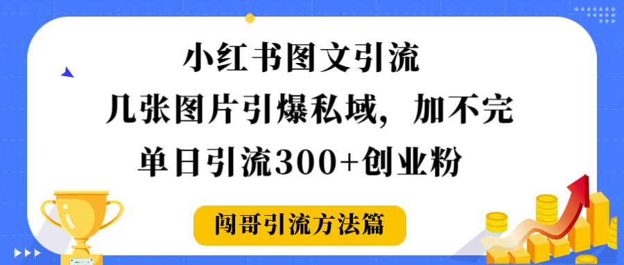 小红书图文引流，几张图片引爆私域加不完，单日引流300＋创业粉-菡洋资源网