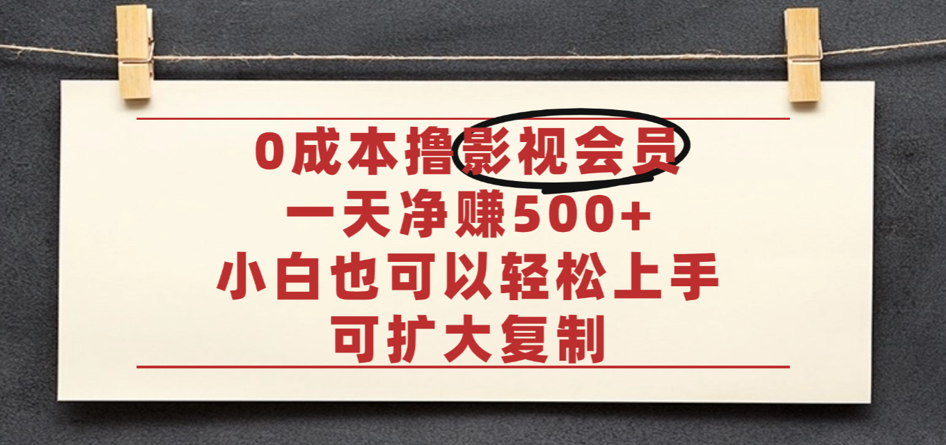 亲测，0成本可批量操作，靠卖影视会员实测月入30000+-菡洋资源网