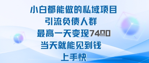 2025年小白都能做的私域项目引流负债人群最高一天变现1k+高变现难度低当天就能见到钱上手快-菡洋资源网