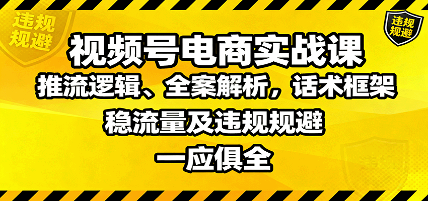 视频号电商实战课：推流逻辑、全案解析，话术框架，稳流量及违规规避等-菡洋资源网