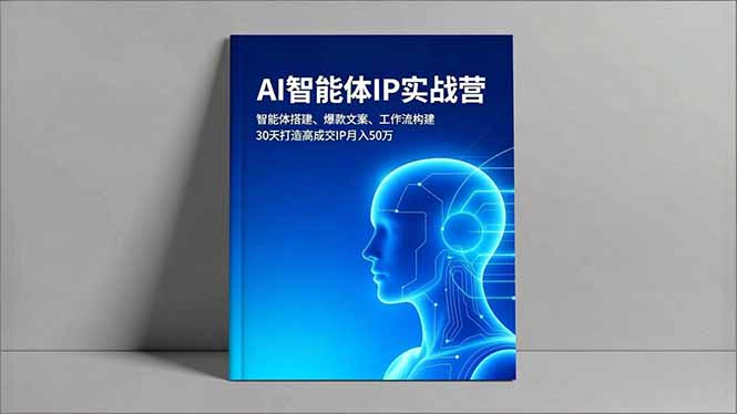 （16689期）AI智能体IP实战营，智能体搭建、爆款文案、工作流构建，30天打造高成交IP月入50万-菡洋资源网