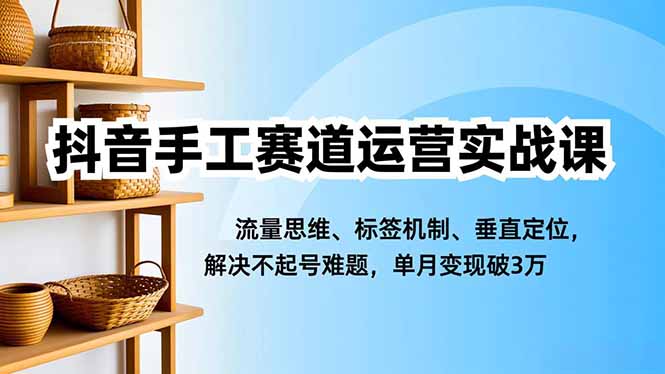 （16667期）抖音手工赛道运营实战课，流量思维、标签机制、垂直定位，解决不起号难题，单月变现破3万-菡洋资源网