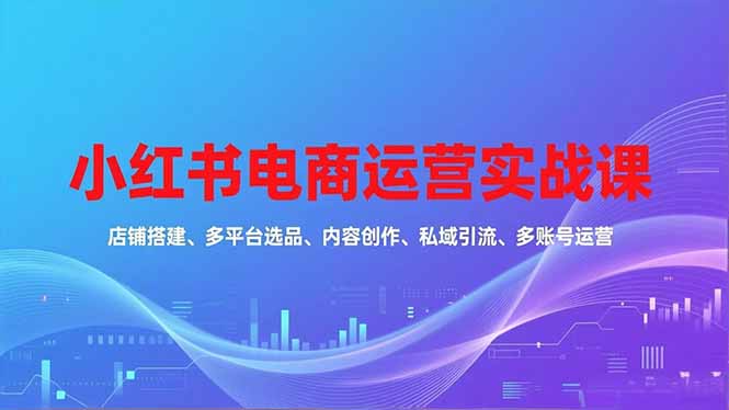 （16695期）小红书电商运营实战课，店铺搭建、多平台选品、内容创作、私域引流、多账号运营等玩法-菡洋资源网