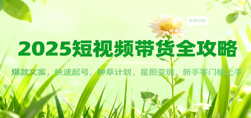 2025短视频带货全攻略：爆款文案，快速起号，种草计划，星图变现，新手零门槛上手-菡洋资源网