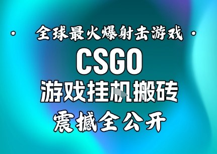 【年底大揭秘】基于全球最火爆的射击CSGO游戏挂G搬砖，日入5张+，震撼公开-菡洋资源网
