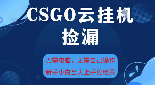 CSGO云挂G全自动捡漏，最新独家玩法，无需电脑操作，新手小白日入5张+【揭秘】-菡洋资源网