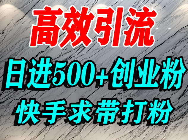 怎么打创业粉？快手求带视角精准引流创业粉，宝妈、学生群体日进500+精准流量-菡洋资源网
