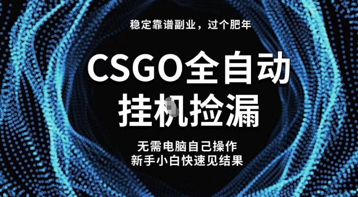 【稳定副业】全球最热门游戏CSGO全自动捡漏，最新玩法，新手小白日入5张+【揭秘】-菡洋资源网