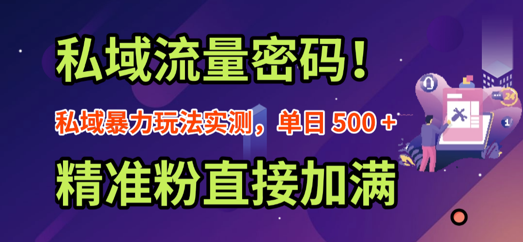 私域流量密码！私域暴力玩法实测，单日 500 + 精准粉直接加满-菡洋资源网
