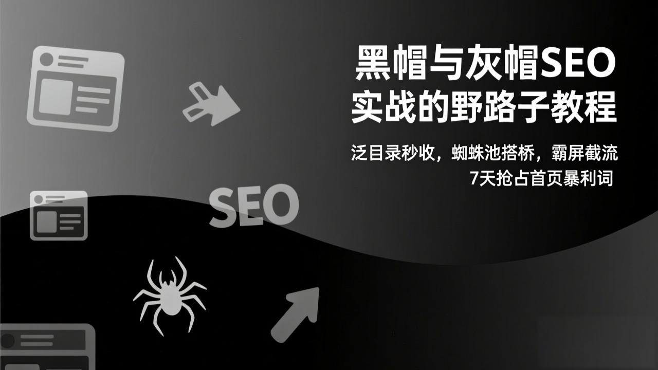 （17125期）黑帽与灰帽SEO实战的野路子教程：泛目录秒收，蜘蛛池搭桥，霸屏截流，7天抢占首页暴利词-菡洋资源网
