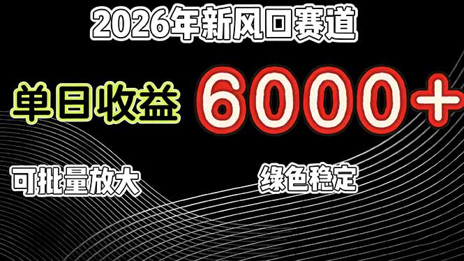 （17135期）2026年新风口赛道，当日6000+以上，可批量放大，月收入20万+，长期绿色稳定的项目-菡洋资源网