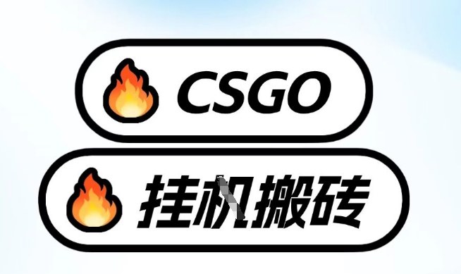 真全网独家CSGO挂G，最新玩法,单日捡漏1K+，不用电脑，不用打游戏【揭秘】-菡洋资源网
