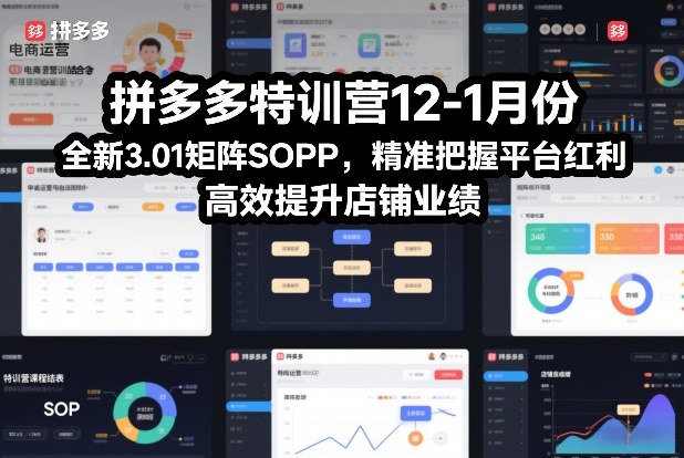 拼多多特训营12-1月份，全新3.01矩阵Sop，精准把握平台红利，高效提升店铺业绩-菡洋资源网