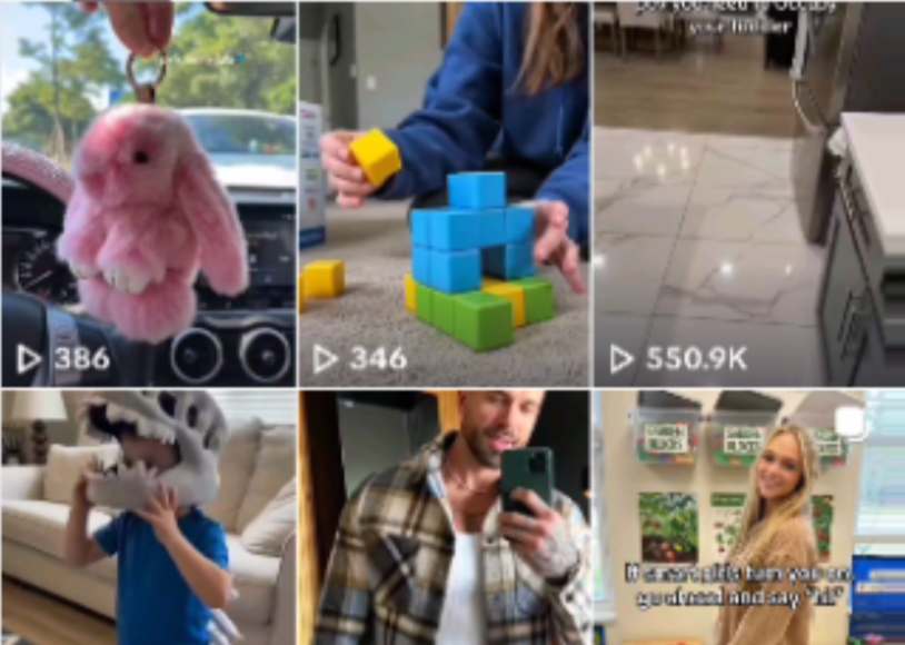 万字实操指南：Seedance联手TikTok带货，月入六位数可复制的全攻略-菡洋资源网