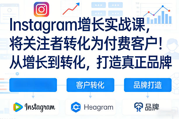 Instagram增长实战课，将关注者转化为付费客户！从增长到转化，打造真正品牌（双语字幕）-菡洋资源网
