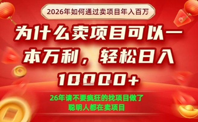 一单净利润1K+，26年想年入100个W，死磕卖项目就够了【揭秘】-菡洋资源网